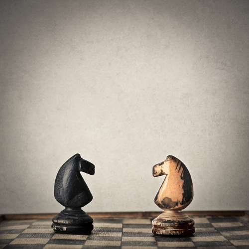 Another animal enters the veteran therapy conversation