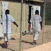 Defense Department transfers three Guantanamo detainees