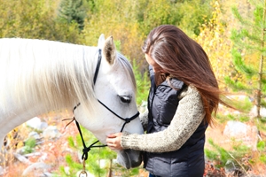 Equine therapy may help lessen the symptoms of PTSD.