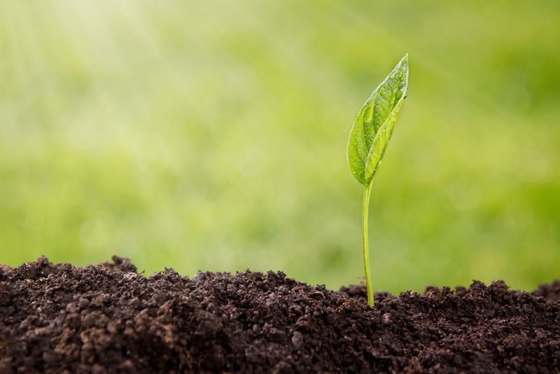 Friday, April 22 is Earth Day.