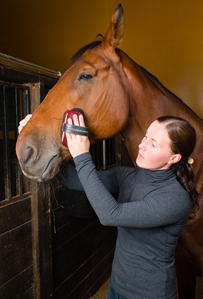 Hillenglade Farm uses horses to help servicemembers heal.