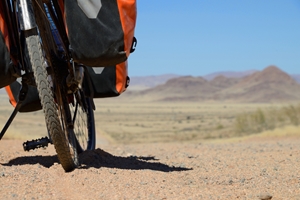 How are veterans coping with PTSD?