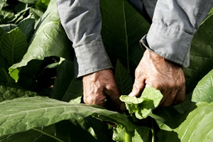 Indiana group promoting efforts of veteran farmers
