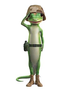  /></noscript>Save even more on insurance from GEICO!</p>
<ul>
<li style=