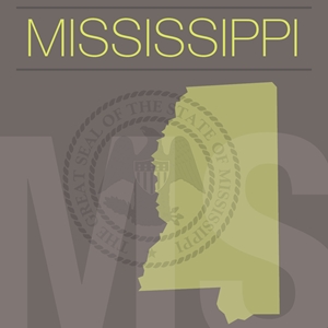 Mississippi cities take aim at veteran homelessness