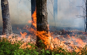 National Guard, Reserves help battle Colorado forest fires