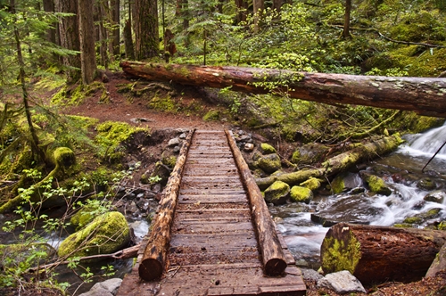 Nature has a healing power all its own, and some vets groups are focusing on the outdoors.