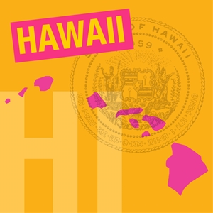News article: Hawaii trying to tackle female veteran homelessness