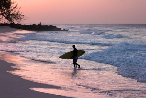 One Escondido, California-based group offers ocean-based therapy sessions featuring a surfing canine.