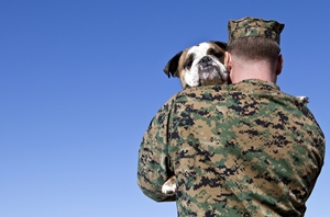 Soldier and combat dog wounded in action, reunited in Germany