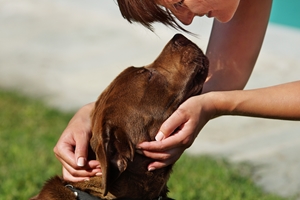 Tails of Valor is a non-profit organization that trains rescued dogs to become disabled veterans companions.