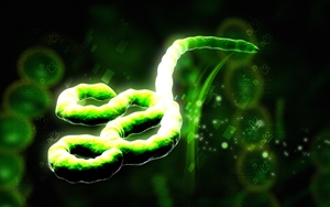 The Defense Department issued a statement on Oct. 30 declaring it would be training more medical workers to handle domestic Ebola cases.