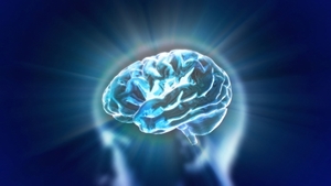 The brain bank will serve to advance scientific research on PTSD's effect on the brain.