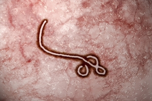 The first person to test positive for Ebola in New York City was diagnosed Thursday, Oct. 23.