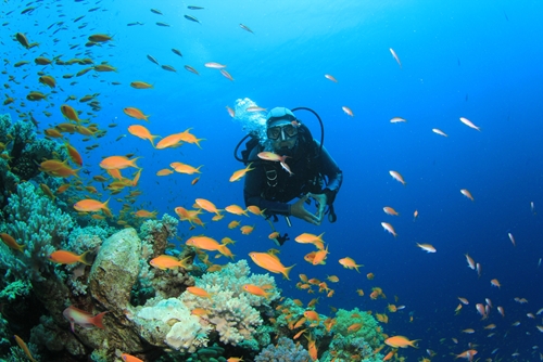 The tranquil ocean is one place to relieve physical or mental trauma.