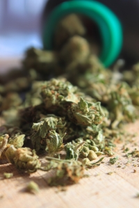 Washington-based soldiers prohibited from marijuana use despite state laws