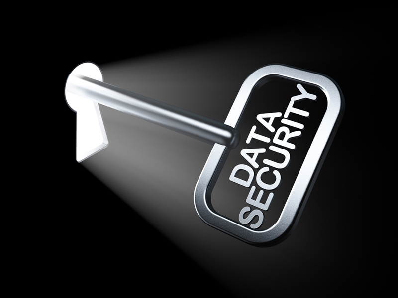 With so many digital risks arising, government contractors must ensure data security.