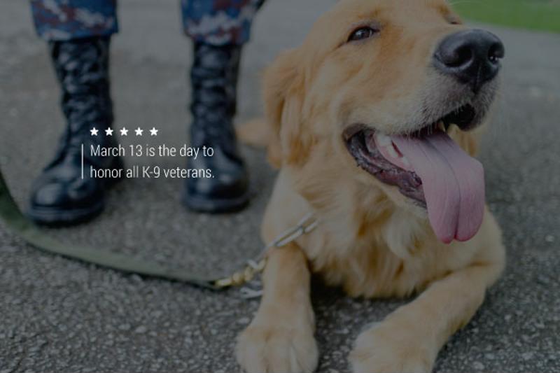 An image of a smiling dog at the feet of an anonymous servicemember.