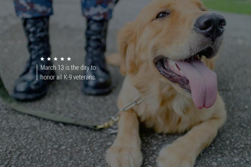 An image of a smiling dog at the feet of an anonymous servicemember.