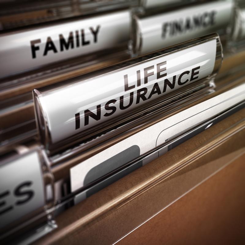 Evaluate your insurance needs on National Insurance Awareness Day